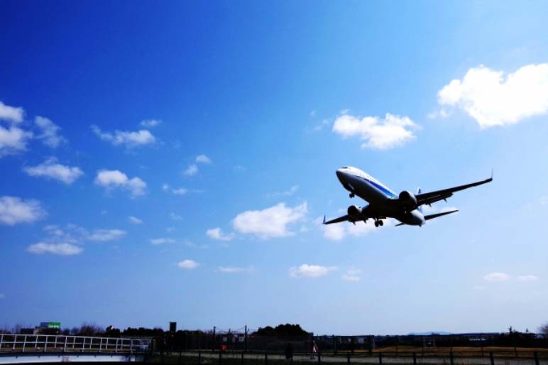 画像：輸送中の航空機