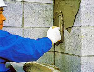 Premixed mortar for plastering